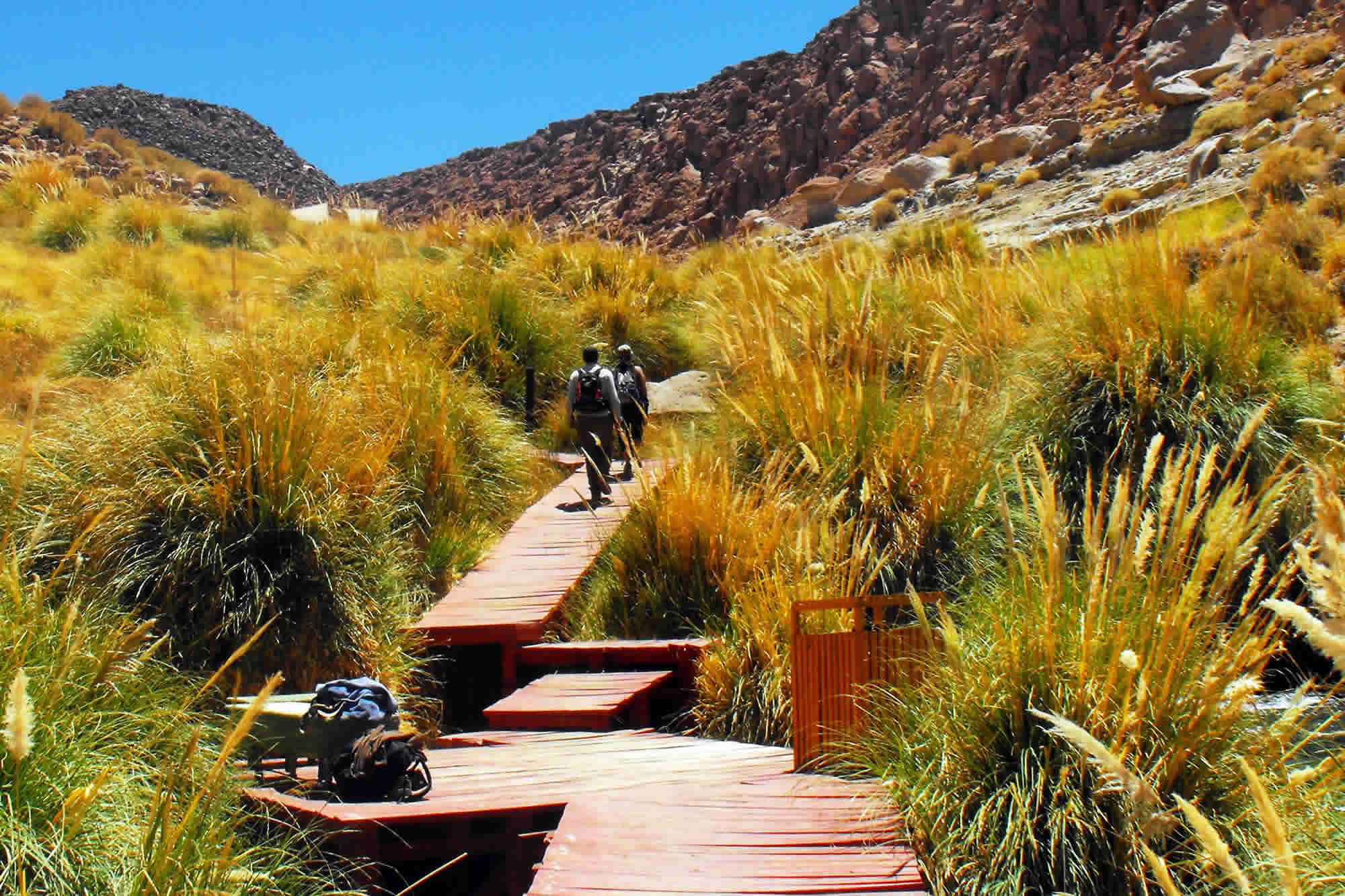 Visit of the Sairecabur volcano (5971m above sea level) and the Puritama hot springs